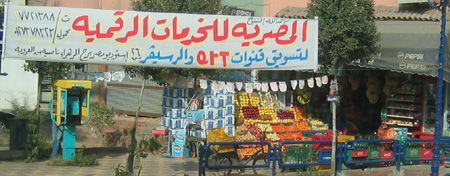 egfruktshop.jpg (64210 bytes)