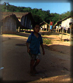 ntoyboy.jpg (28750 bytes)
