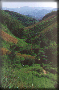ntvalley.jpg (37727 bytes)