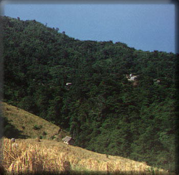 ntyaphu.jpg (40777 bytes)